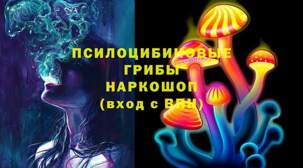 герыч Алексин