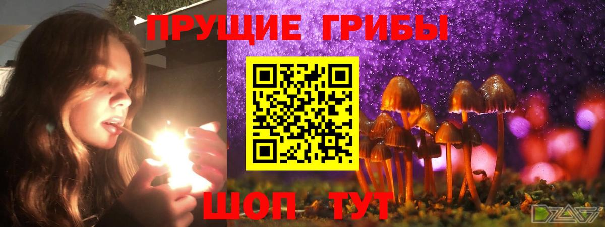 Галлюциногенные грибы мухоморы Волгоград