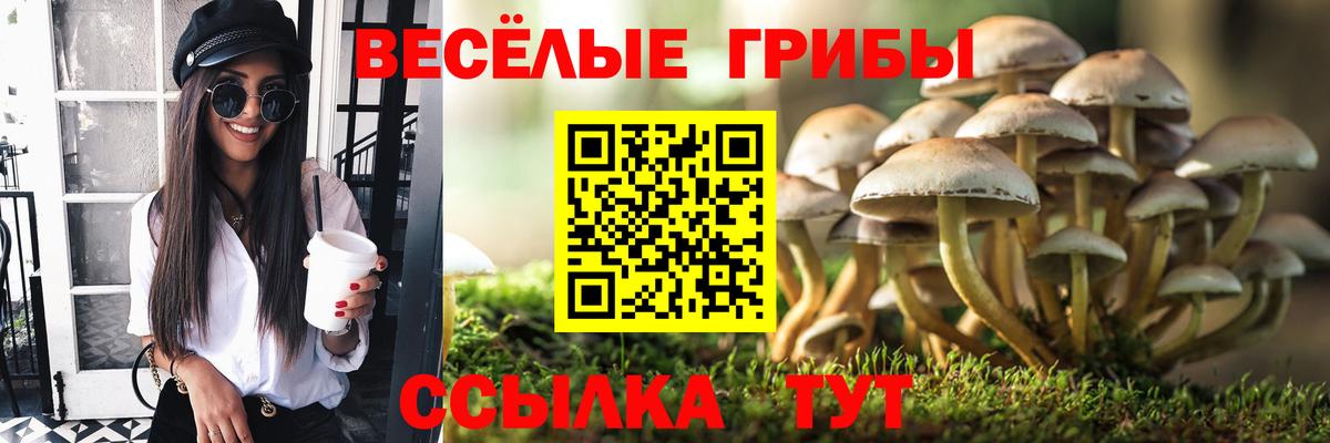 Волгоград  Галлюциногенные грибы мицелий  наркота  Галлюциногенные грибы Cubensis  Вход с VPN 