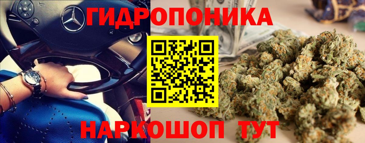 Волгоград  Бошки марихуана конопля  Конопля THC 21%  Каннабис THC 21%  Вход с VPN  МАРИХУАНА ГИДРОПОН 